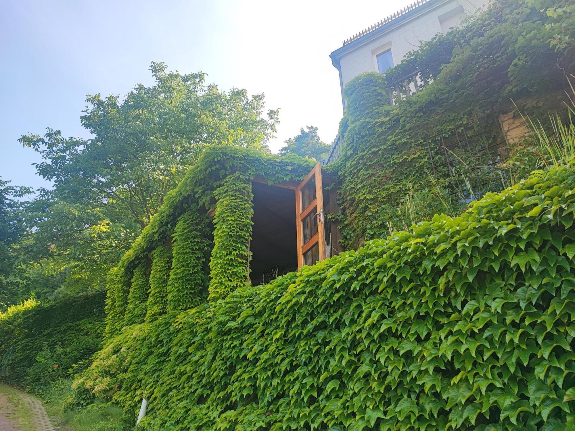 Penzion Přívoz Hřensko Habitación foto